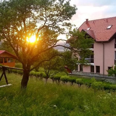 Hotel Sofia Bran  Bagian luar foto