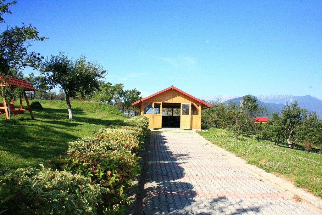 Hotel Sofia Bran  Bagian luar foto
