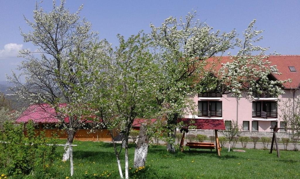 Hotel Sofia Bran  Bagian luar foto
