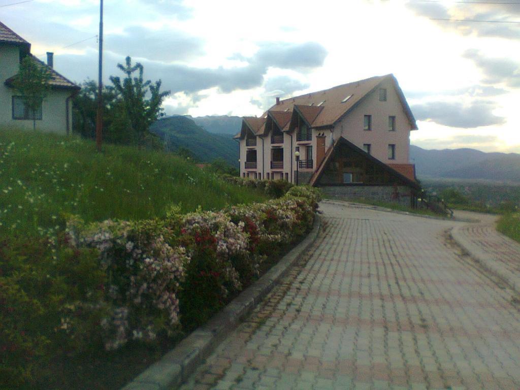 Hotel Sofia Bran  Ruang foto