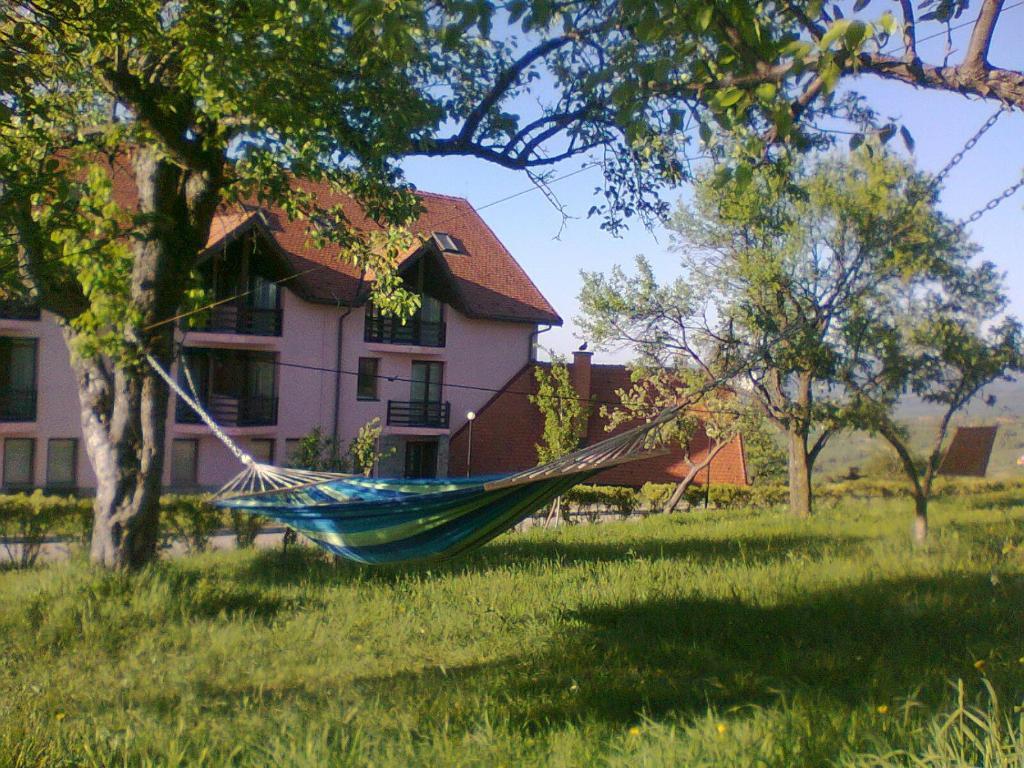 Hotel Sofia Bran  Bagian luar foto