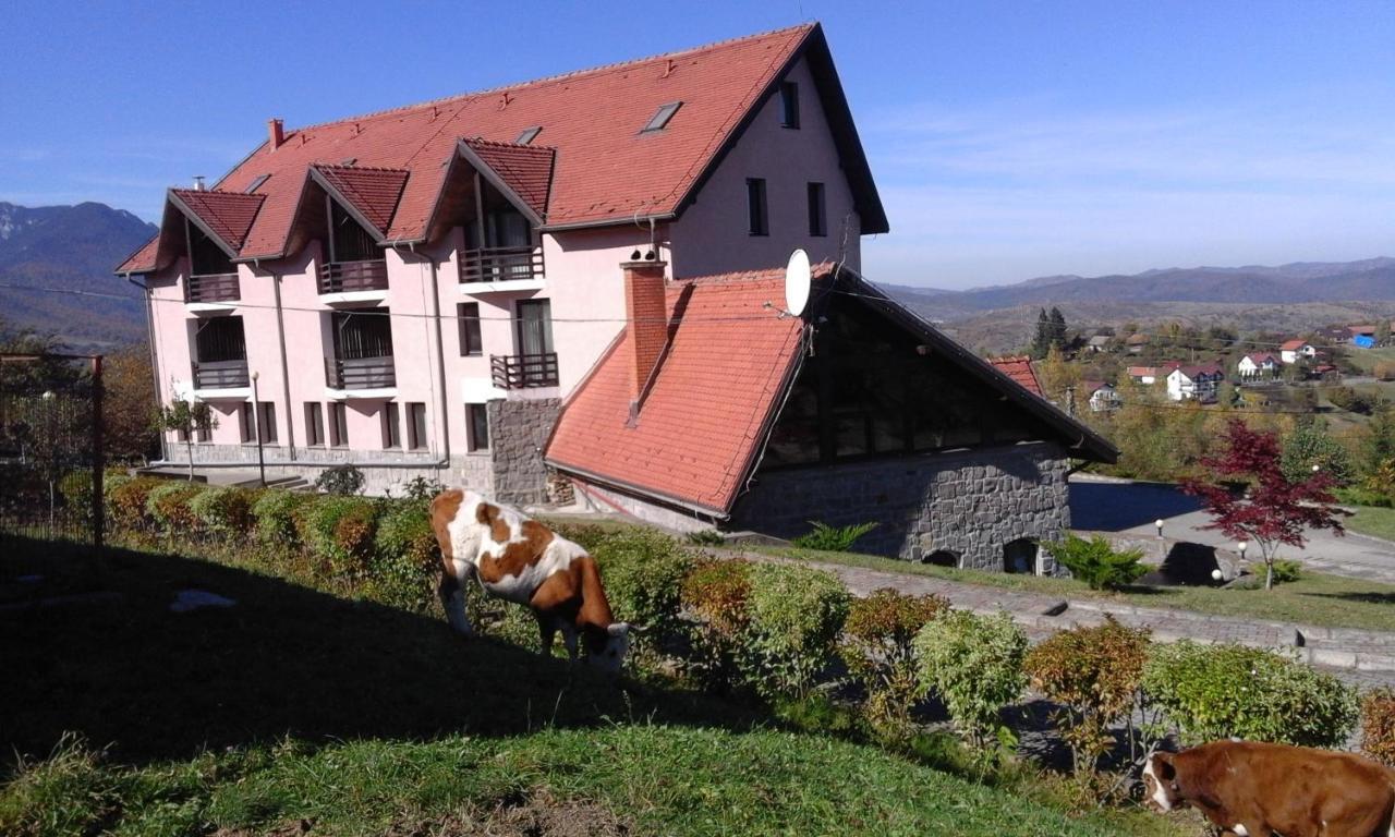 Hotel Sofia Bran  Bagian luar foto